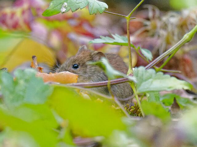 Foto: Eigenes Bild TB