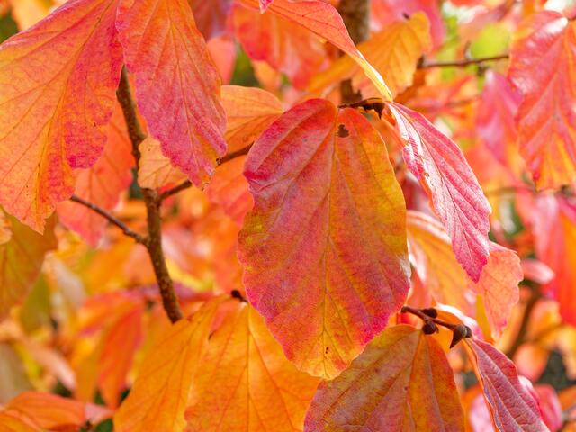 Foto: Eigenes Bild TB