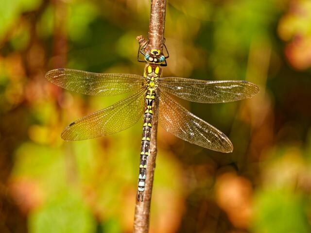 Foto: Eigenes Bild TB