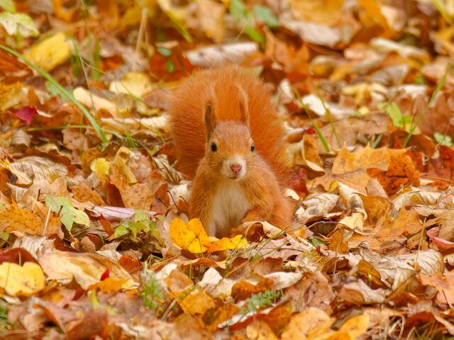 Foto: Eigenes Bild TB