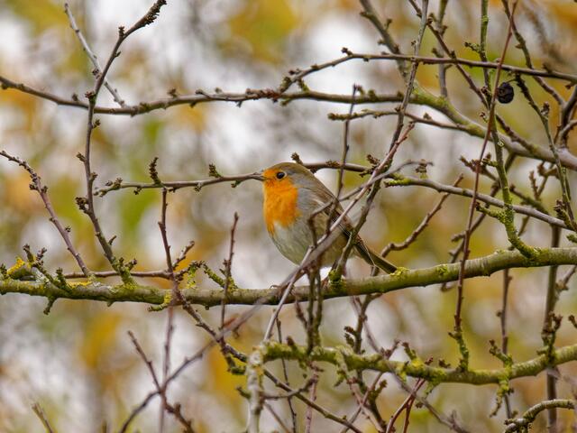 Foto: Eigenes Bild TB