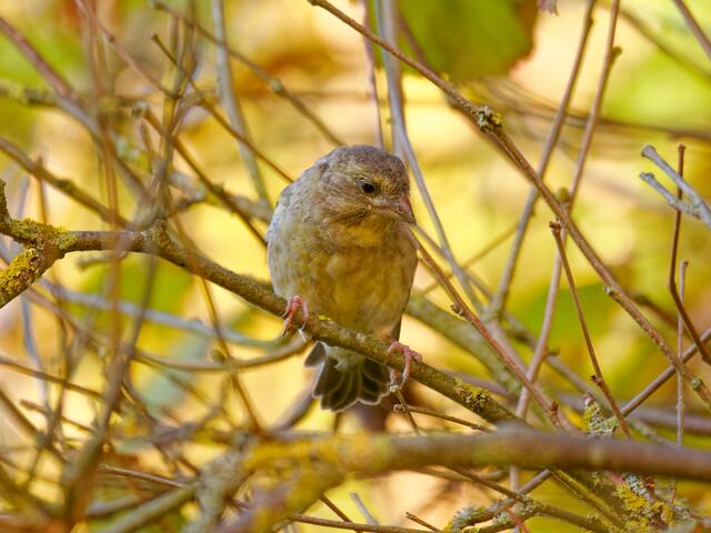 Foto: Eigenes Bild TB