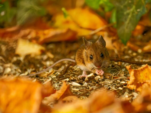 Foto: Eigenes Bild TB