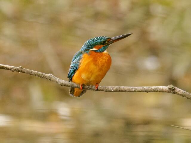 Foto: Eigenes Bild TB