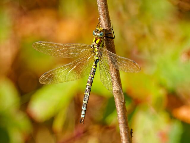 Foto: Eigenes Bild TB