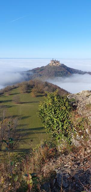Man kann sich gar nicht satt sehen ... Blick vom Zeller Horn. | Foto: privat Sibylle Tröber