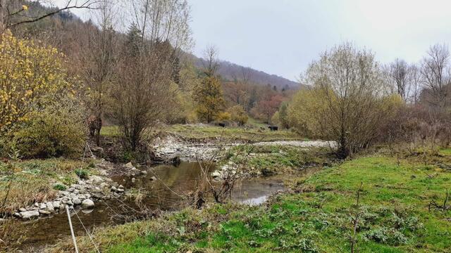 Kurz mal raus...  | Foto: Ralf Röser