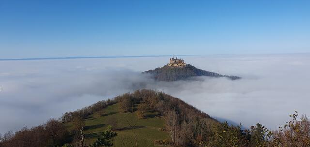 Blick zur Burg vom Zeller Horn | Foto: privat Sibylle Tröber