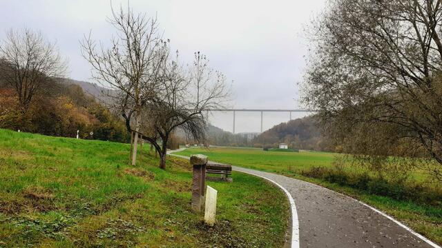 Kurz mal raus...  | Foto: Ralf Röser