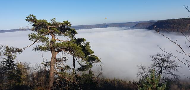 2 Heißluftballons genießen die Fahrt über dem Nebel | Foto: privat Sibylle Tröber