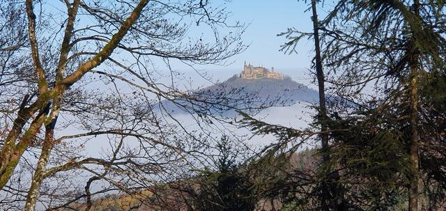 immer wieder erhascht man einen Blick durch's Geäst auf die Burg Hohenzollern. | Foto: privat Sibylle Tröber