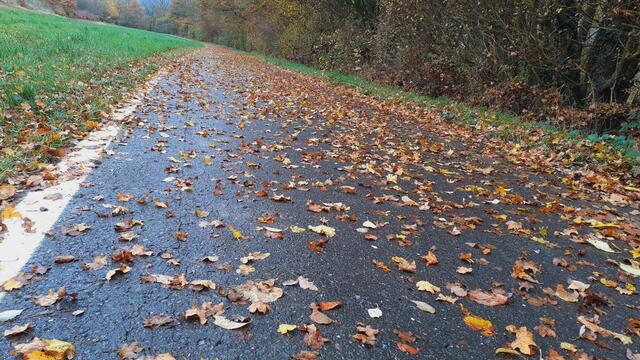 Kurz mal raus...  | Foto: Ralf Röser