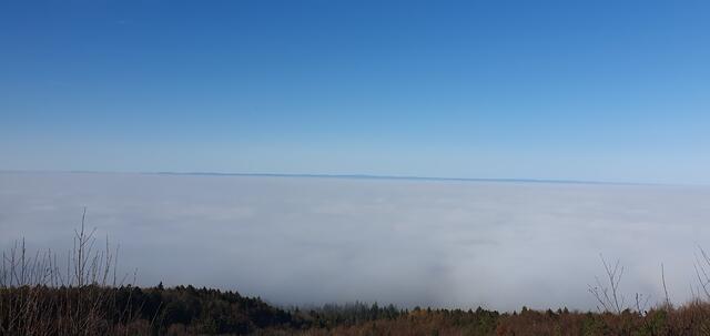 Nebel, wohin man schaut. | Foto: privat Sibylle Tröber