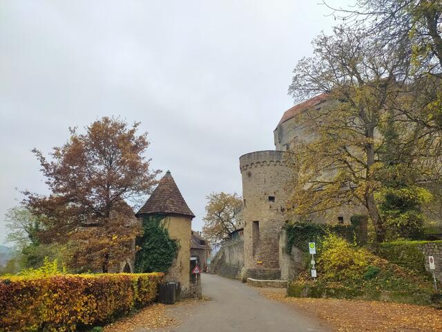 Burg Guttenberg | Foto: sigischlottke