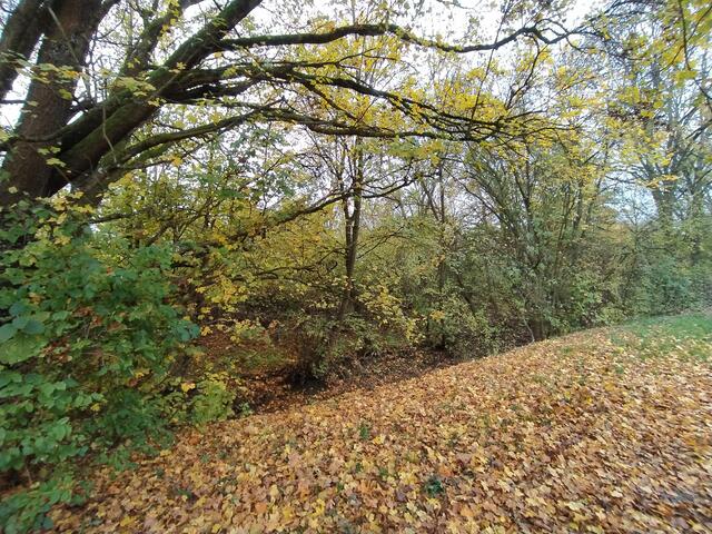 Auf dem Pfad am Mühlbach | Foto: sigischlottke