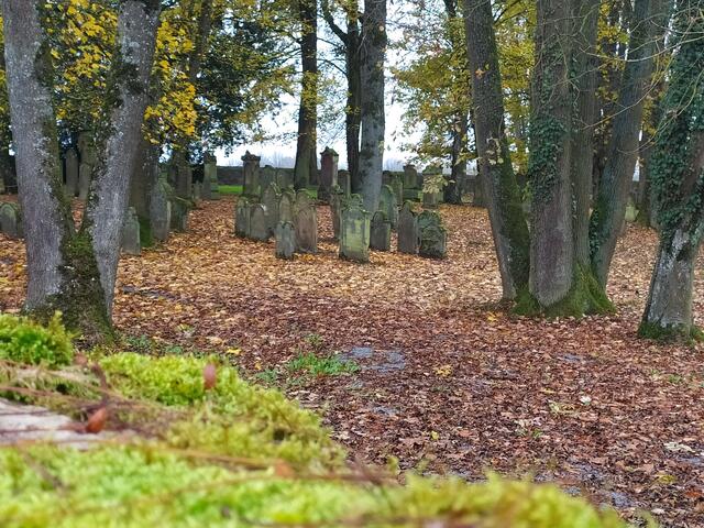 Der Jüdische Friedhof | Foto: sigischlottke