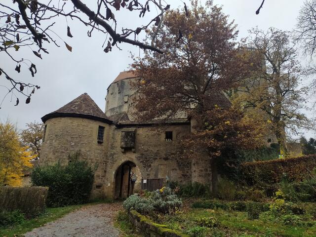 Rückblick auf Burg Guttenberg | Foto: sigischlottke