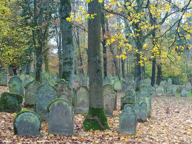 Der Jüdische Friedhof | Foto: sigischlottke