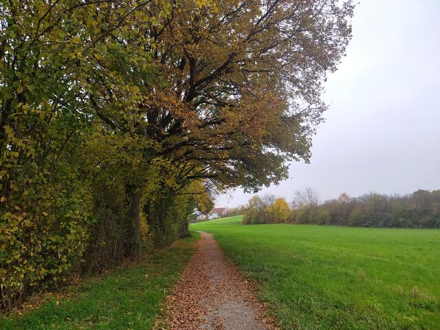 Am Mühlbach entlang nach Zimmerhof | Foto: sigischlottke