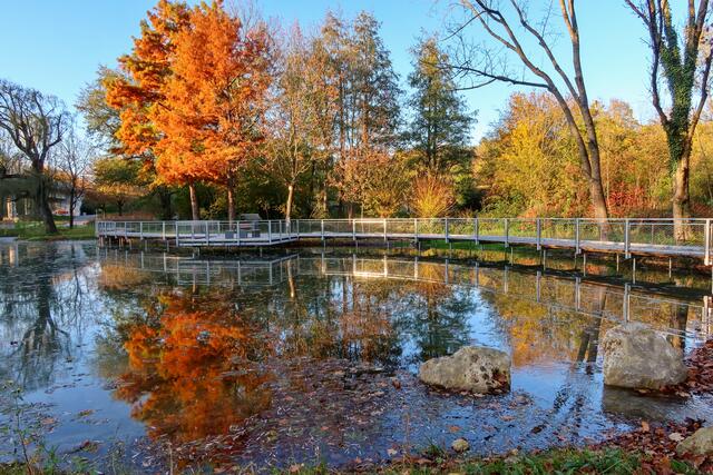 Herbst am neu gestalteten Ententeich in Neckarsulm | Foto: Peter Rössler