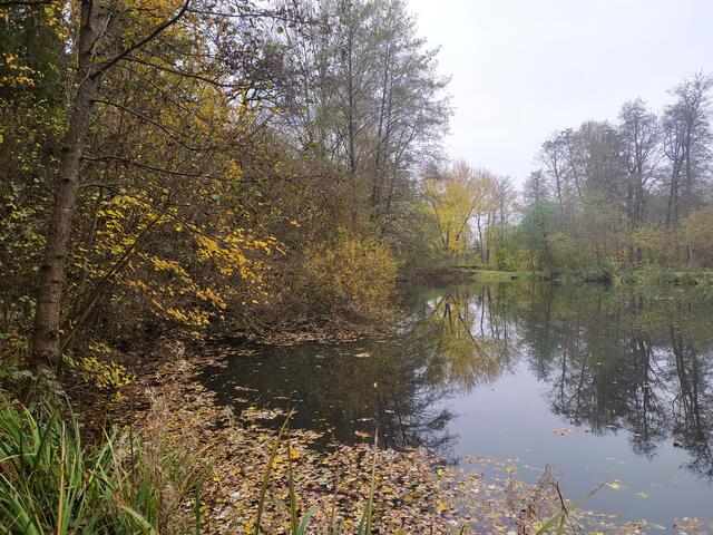 Der Mühltalsee liegt ruhig da | Foto: sigischlottke