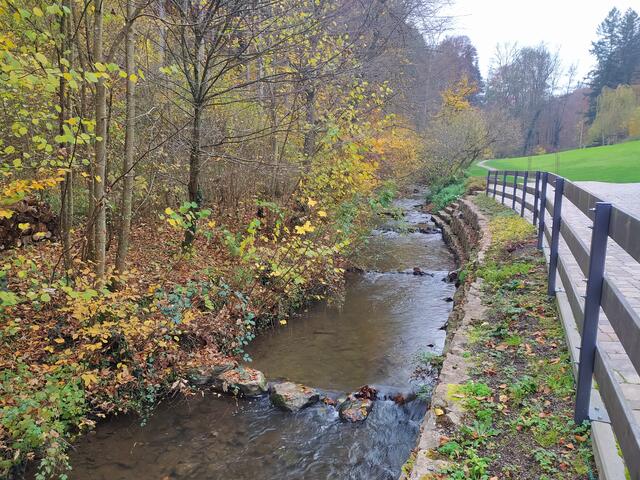 Am Mühlbach bei der Siegelsbacher Mühle | Foto: sigischlottke