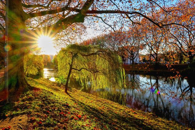 Herbstliche Stimmung im Gegenlicht am Neckarkanal in Heilbronn | Foto: Peter Rössler