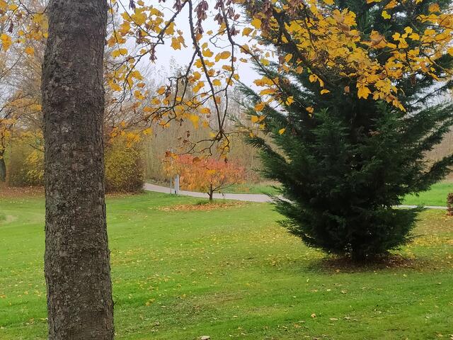 Herbstfarben | Foto: sigischlottke