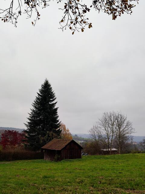 Herbststimmung | Foto: Aurelia Kling
