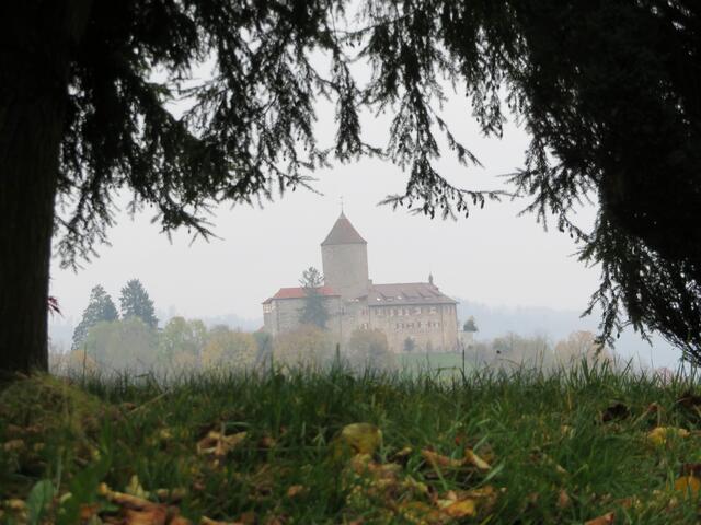 Blick zum ehemaligen Schloss Reichenberg | Foto: Aurelia Kling