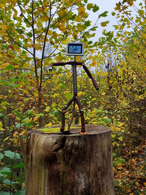 Kunst am Wegrand | Foto: Aurelia Kling