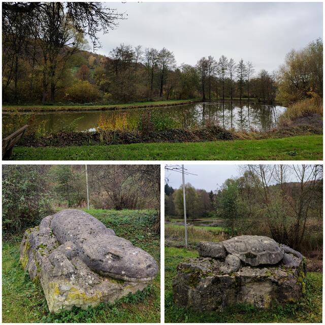 Fritz-Abele-See bei Rietenau | Foto: Aurelia Kling