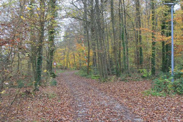 Los geht's  | Foto: Ralf Röser