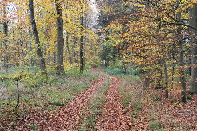 und weiter | Foto: Ralf Röser