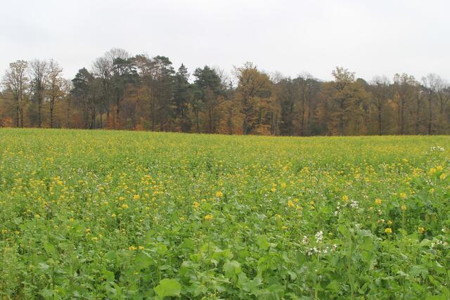 Ausblick | Foto: Ralf Röser