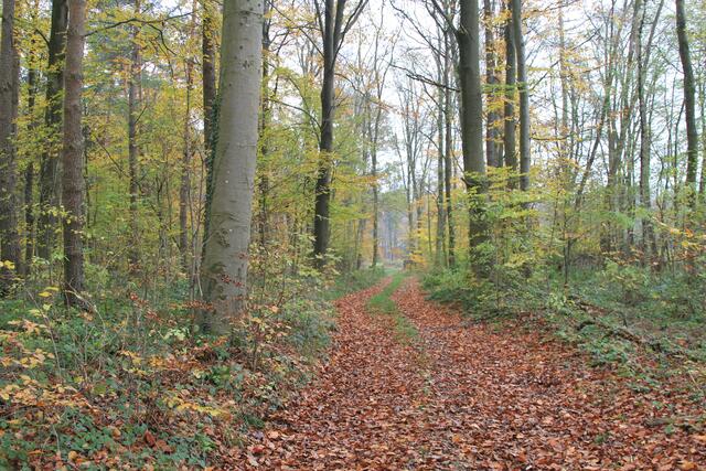 und weiter | Foto: Ralf Röser