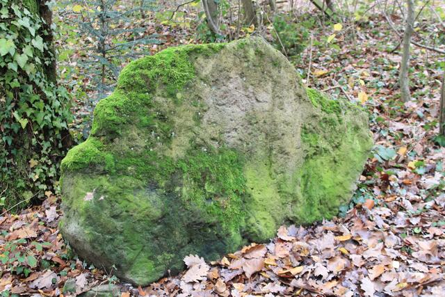 cool | Foto: Ralf Röser