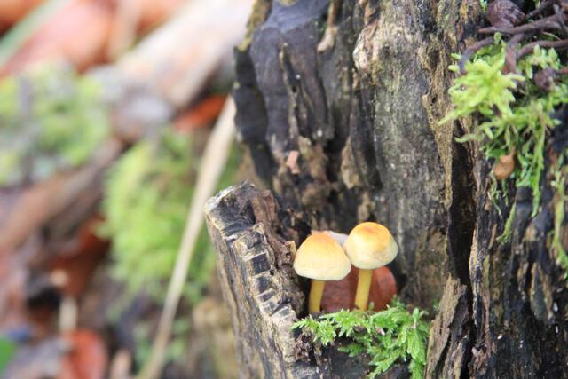 sooo klein | Foto: Ralf Röser