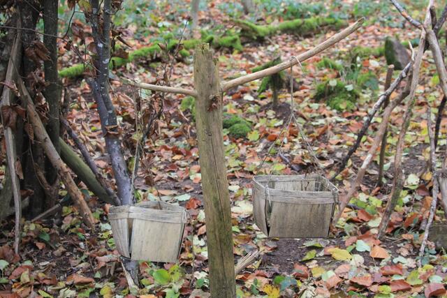 so schön angelegt | Foto: Ralf Röser