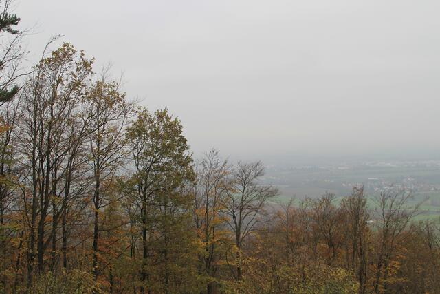 Hohenloher Ebene- wie man sieht- sieht man nicht viel😄 | Foto: Ralf Röser