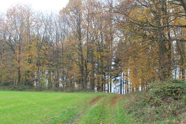 da weiter | Foto: Ralf Röser