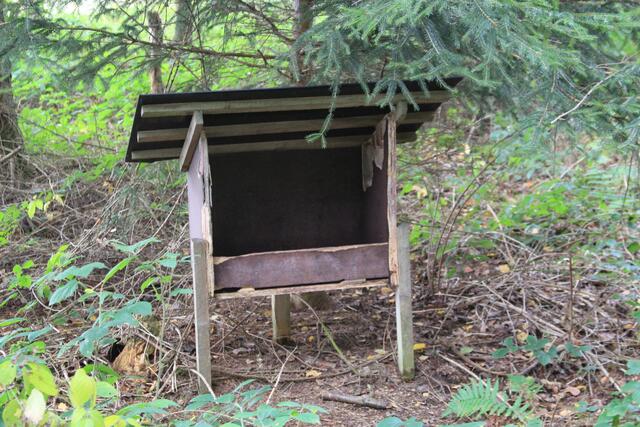 leer | Foto: Ralf Röser