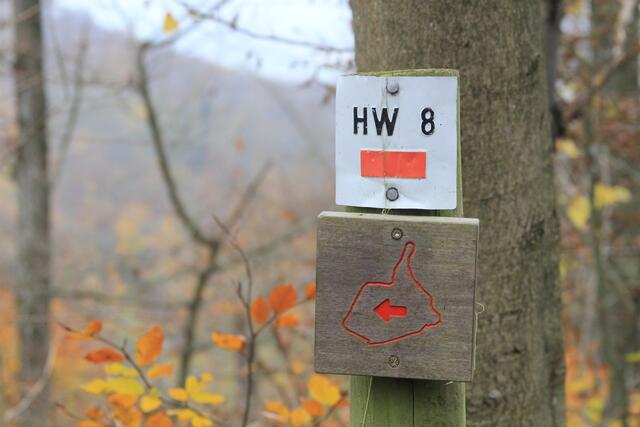 Info | Foto: Ralf Röser