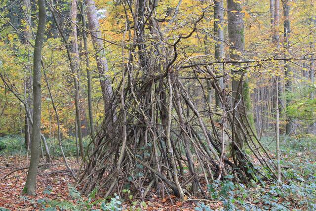 wow | Foto: Ralf Röser