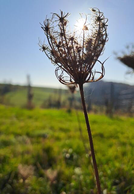 Wie gerne würde man(n)/frau die Sonne festhalten. | Foto: Andreas Odey 
