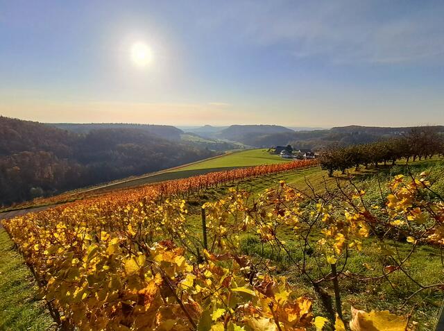 Letzte wärmende Sonne über den Ausläufern des Bottwartaler Weinbaugebiets. | Foto: Andreas Odey 
