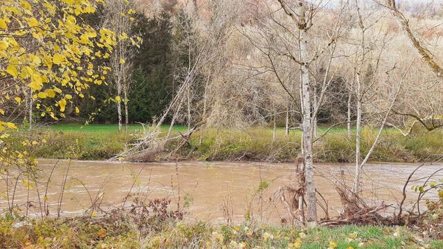 Bissle raus | Foto: Ralf Röser