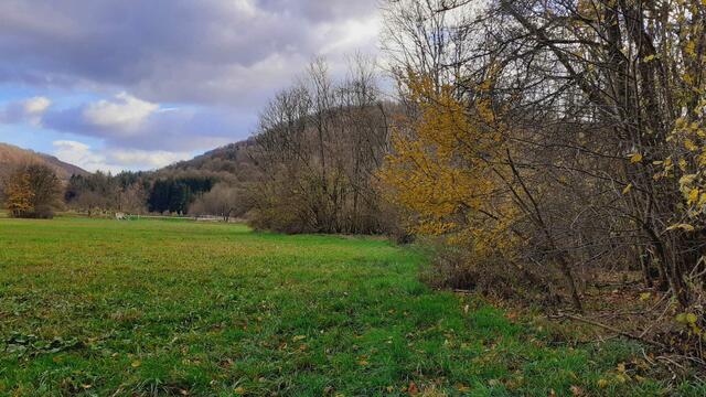 Bissle raus | Foto: Ralf Röser