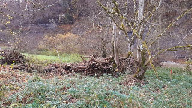 Bissle raus | Foto: Ralf Röser