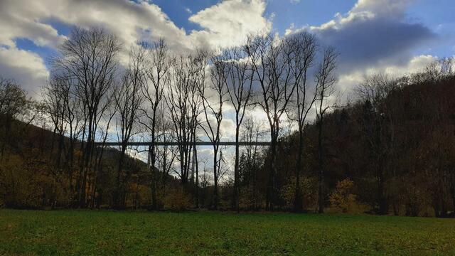 Bissle raus | Foto: Ralf Röser